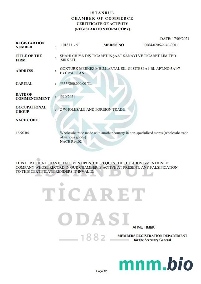 Turkey Istanbul Certificate of Activity szablon in Word i PDF formacie